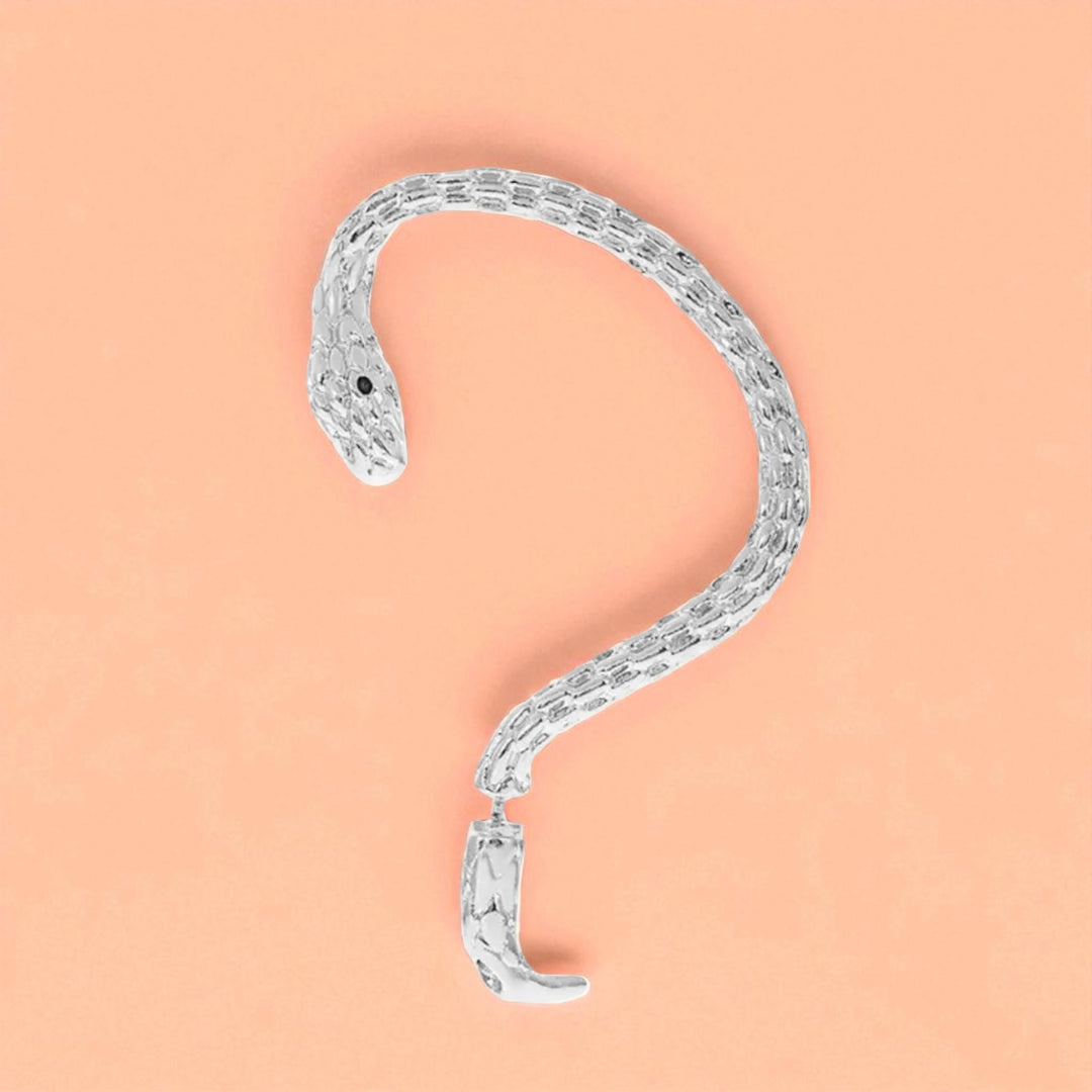 Brincos SERPENTE