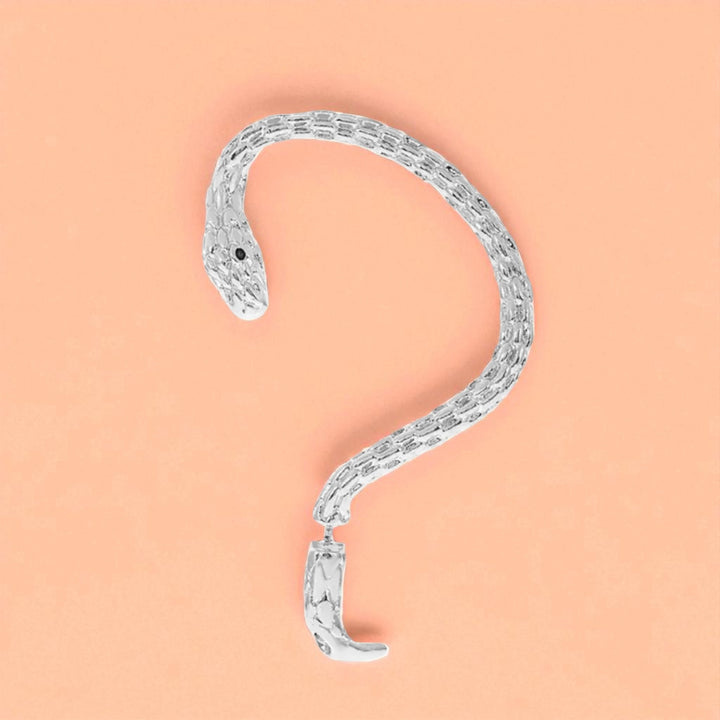 Brincos SERPENTE