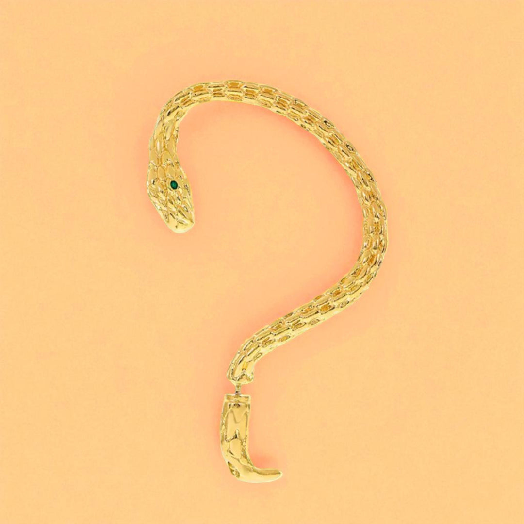Brincos SERPENTE