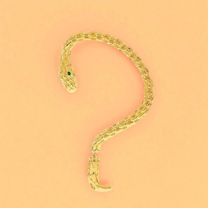 Brincos SERPENTE