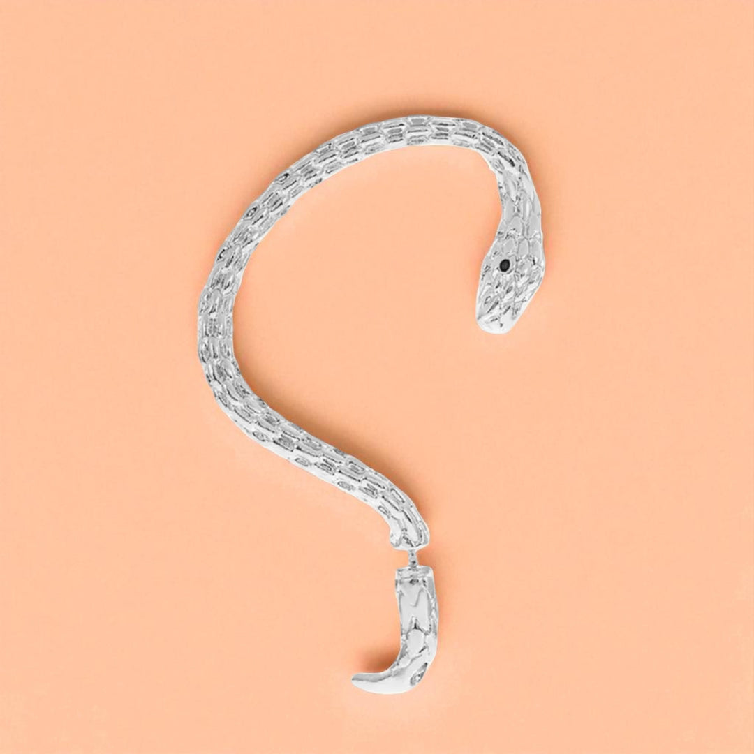 Brincos SERPENTE